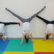 İstanbul Jimnastik Okulu