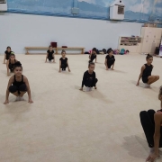 İstanbul Jimnastik Okulu