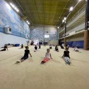 İstanbul Jimnastik Okulu