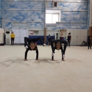 İstanbul Jimnastik Okulu