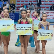 İstanbul Jimnastik Okulu