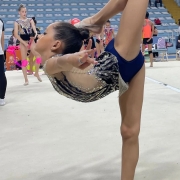 İstanbul Jimnastik Okulu