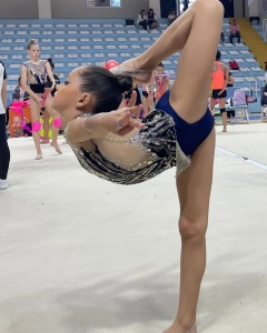 İstanbul Jimnastik Okulu