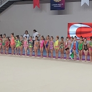 İstanbul Jimnastik Okulu