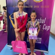 Ritmik Jimnasik Kursu