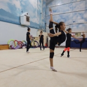 Temel Jimnastik Kursu