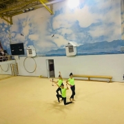 İstanbul Jimnastik Okulu