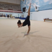 Temel Jimastik Kursu