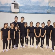 İstanbul Jimnastik Okulu