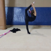 İstanbul Jimnastik Okulu